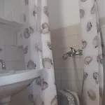 Karapataki *